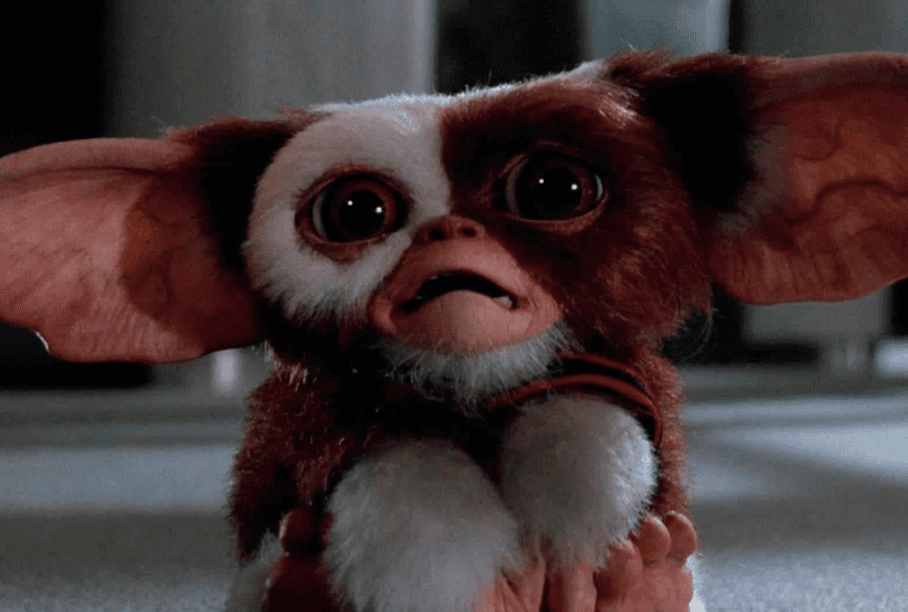 Gizmo escondido em um baú em Gremlins. Um dos personagens mais famosos dos anos 80.