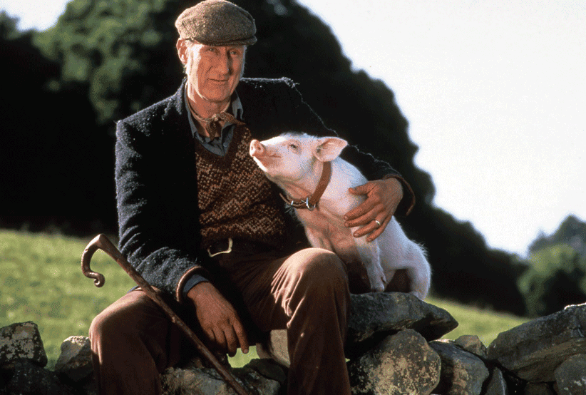 Babe é o seu amigo cachorro no filme Babe O Porquinho atrapalhado, um dos clássicos em Efeitos especiais e visuais.
