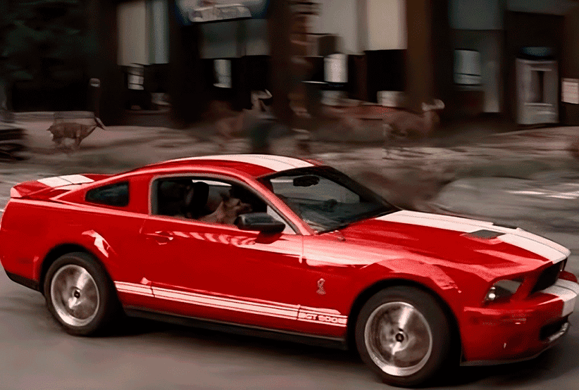 Imagem do carro Ford Shelby GT 500 SVT.Um dos carros mais desejados do cinema