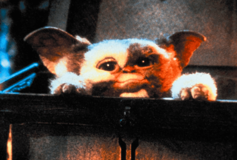 O simpático Gizmo no filme Gremlins (1984). 15 curiosidades sobre os gremlins. 