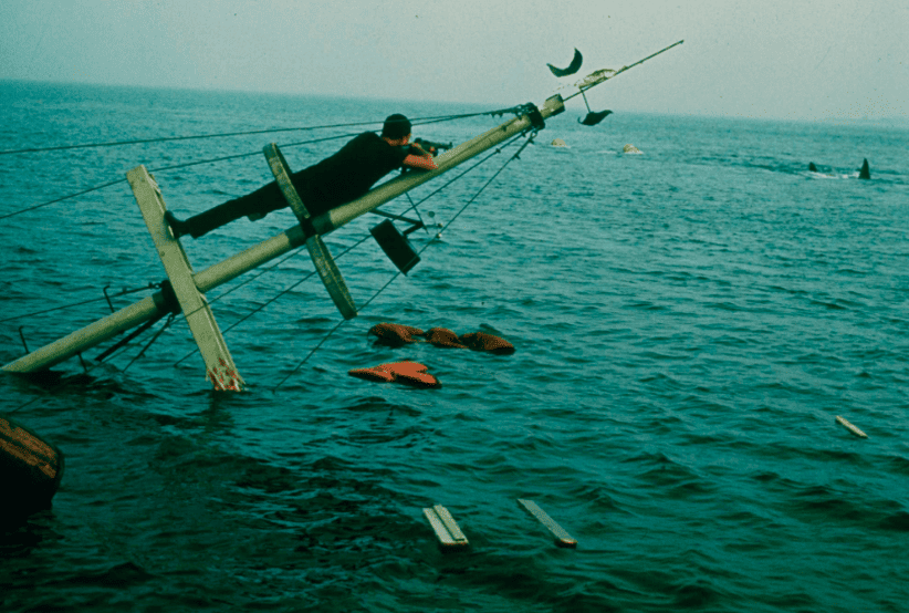 Brody no filme tubarão (1975)