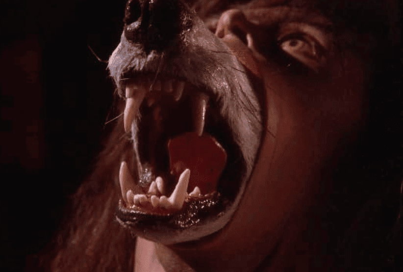 Companhia dos Lobos. 50 melhores filmes de terror dos anos 80